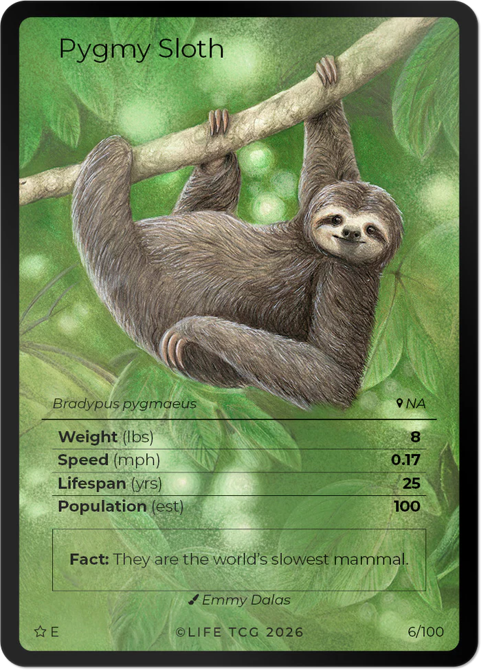 Mammals Special Edition Starter Box