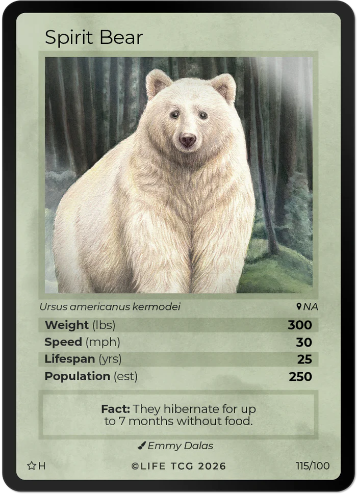 Mammals Special Edition Starter Box