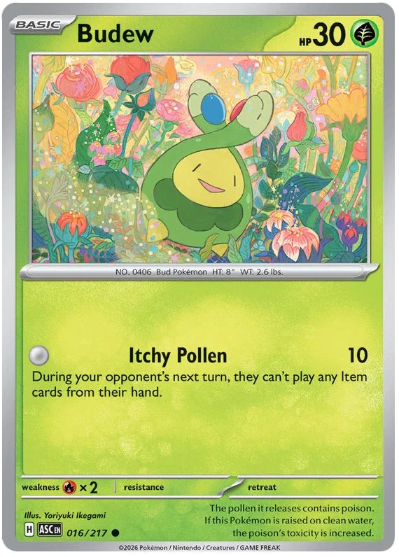 Budew common kaart nummer 016 uit de Ascended Heroes Pokémon set
