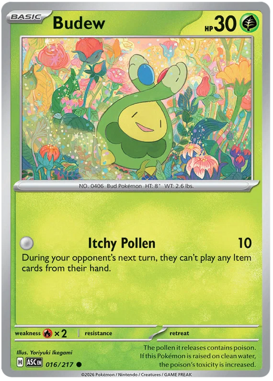 Budew common kaart nummer 016 uit de Ascended Heroes Pokémon set
