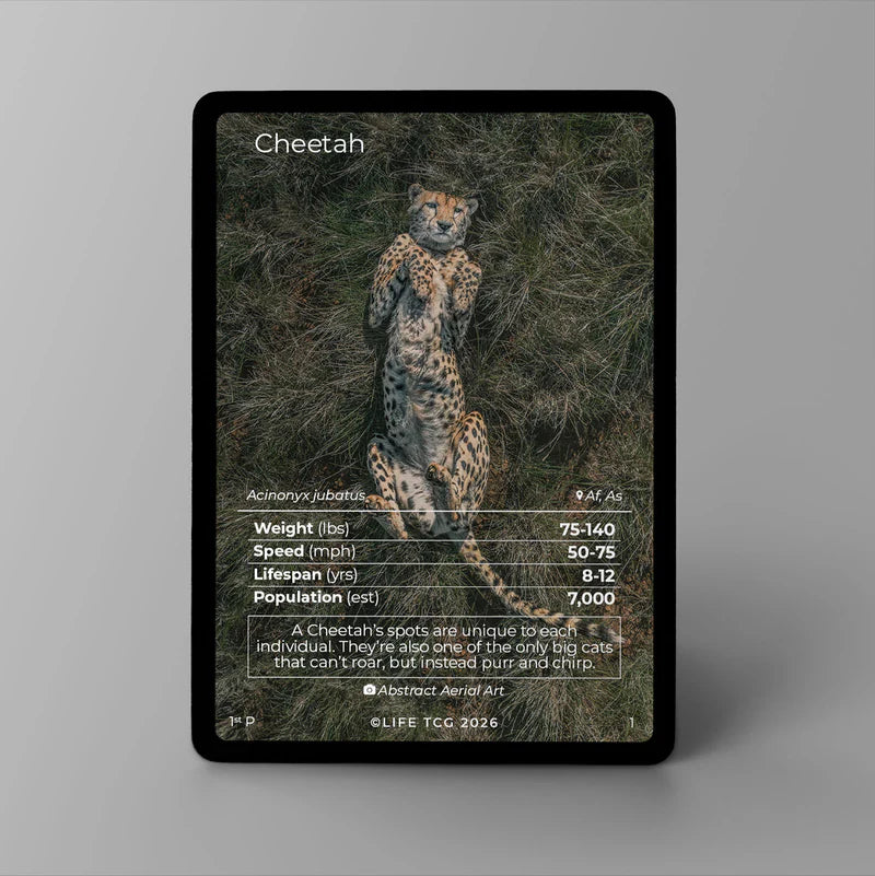 Close-up overzicht van het volledige artwork op de Life TCG Cheetah Photography promokaart.