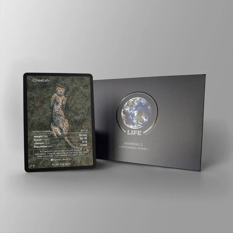 Life TCG Cheetah Photography Promo Card met luxe presentatiehoes