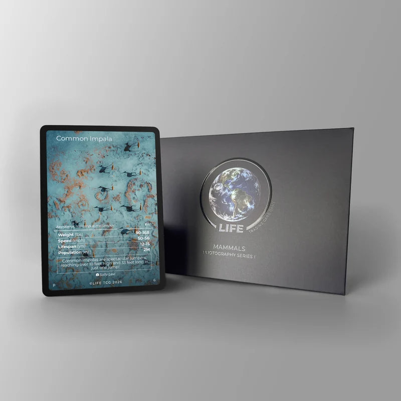 Life TCG Common Impala Promo Series 2 verzamelkaart met wildlife fotografie door Solly Levi - verpakking
