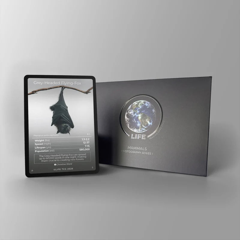 Life TCG Grey Headed Flying Fox kaart uit de Promo Series 2 met fotografie van Christine Ward - verpakking