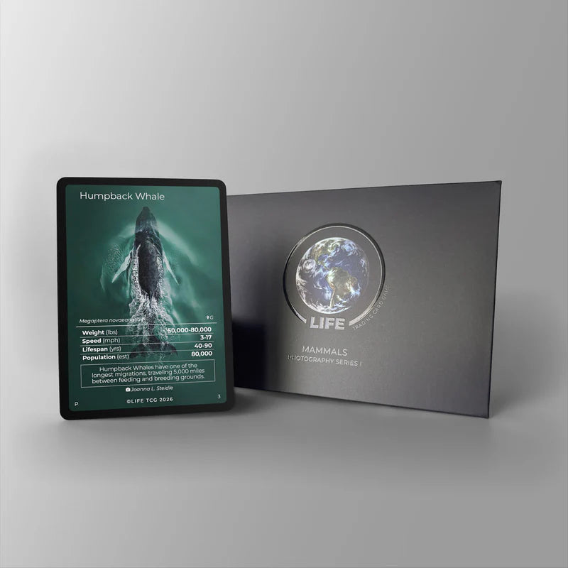 Life TCG Humpback Whale Photography Promo Card met holografische walvisfoto en luxe presentatiebox