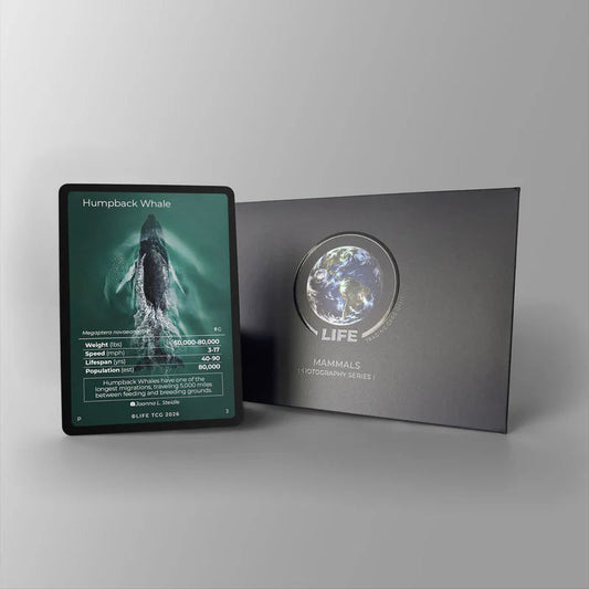 Life TCG Humpback Whale Photography Promo Card met holografische walvisfoto en luxe presentatiebox