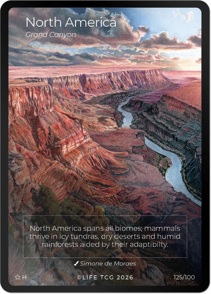 Voorbeeld van de gedetailleerde full-art landschapskaart van de Grand Canyon uit de Mammals set.