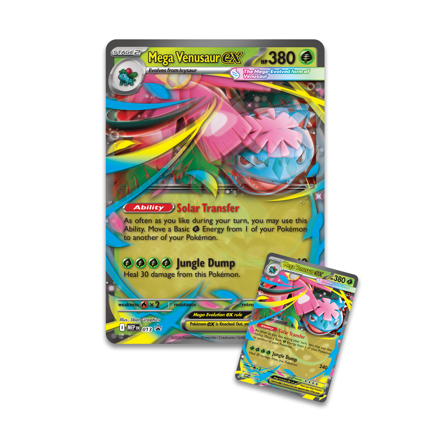 Mega Venusaur ex Premium Collection met promokaart, oversized kaart en 8 Pokémon boosterpacks.