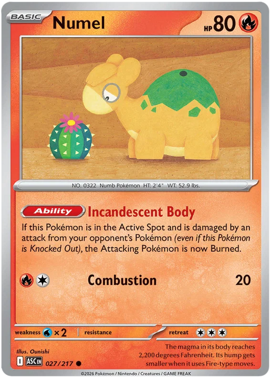 Numel common Pokémon kaart nummer 027 uit de Ascended Heroes Kayou serie