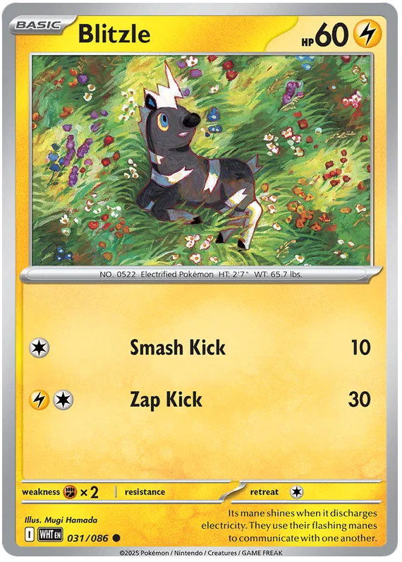 Blitzle common Pokémon kaart #031 uit de White Flare set