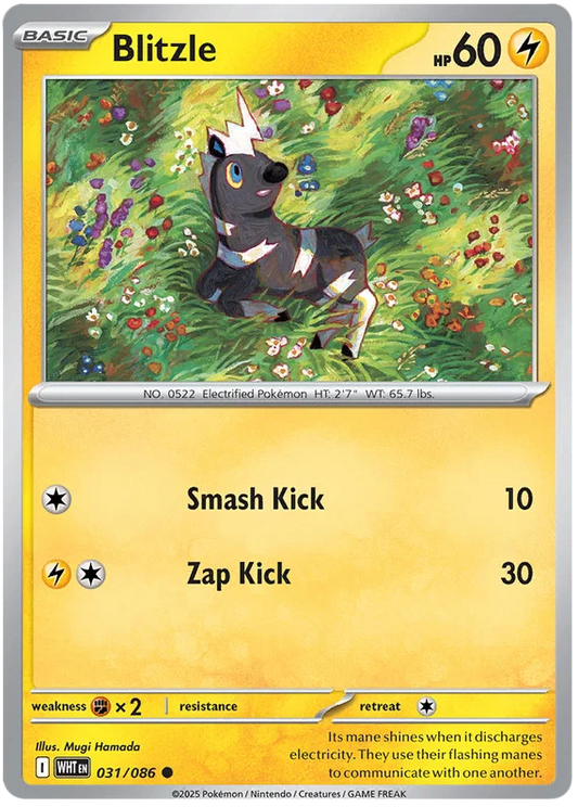 Blitzle common Pokémon kaart #031 uit de White Flare set