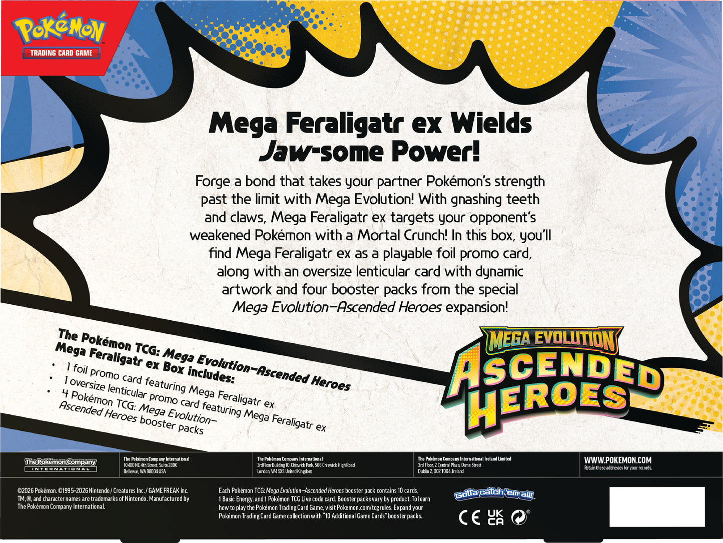 Achterzijde van de Mega Feraligatr-EX box met gedetailleerde productbeschrijving en officiële Pokémon TCG kenmerken.