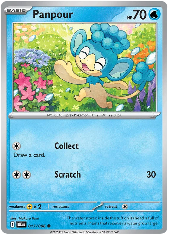 Pokémon Panpour #017 common kaart uit de Black Bolt set