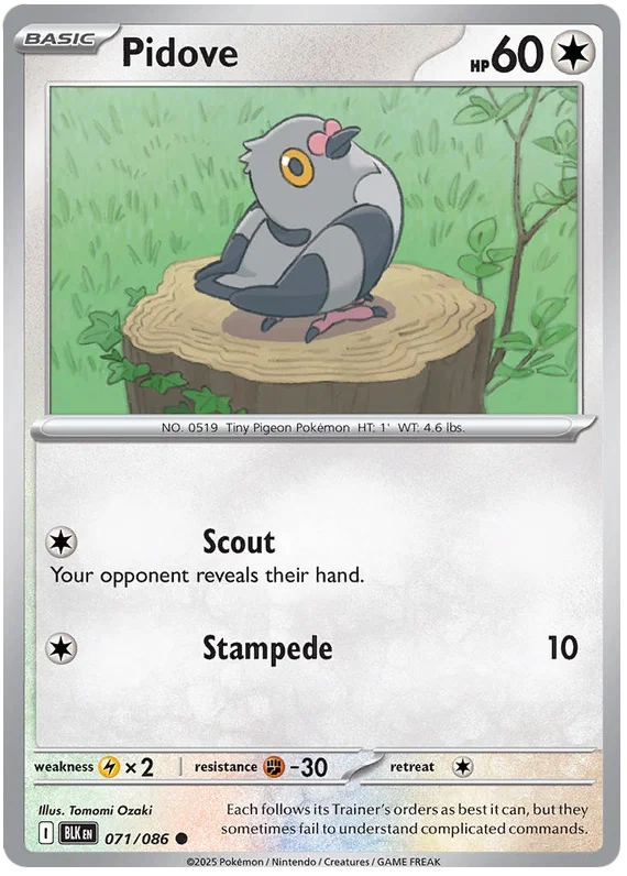 Pidove #071 common Pokémon kaart uit de Black Bolt set