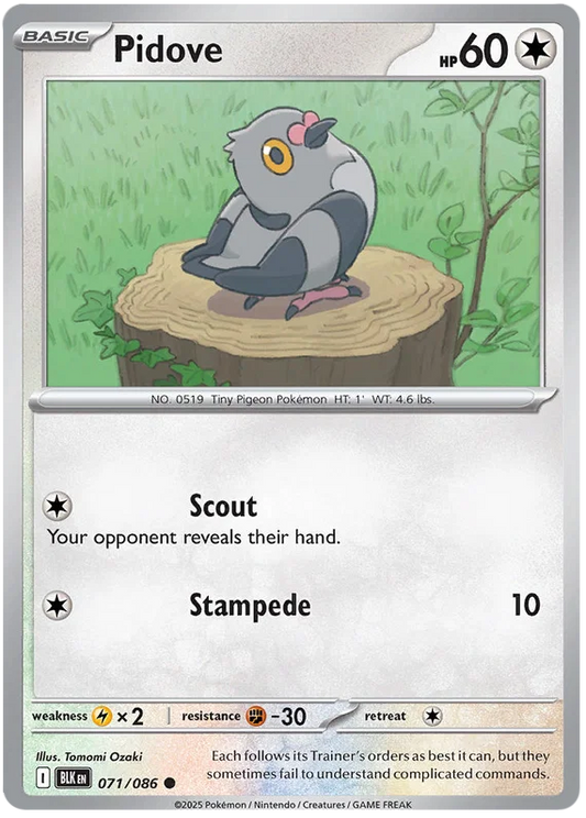Pidove #071 common Pokémon kaart uit de Black Bolt set
